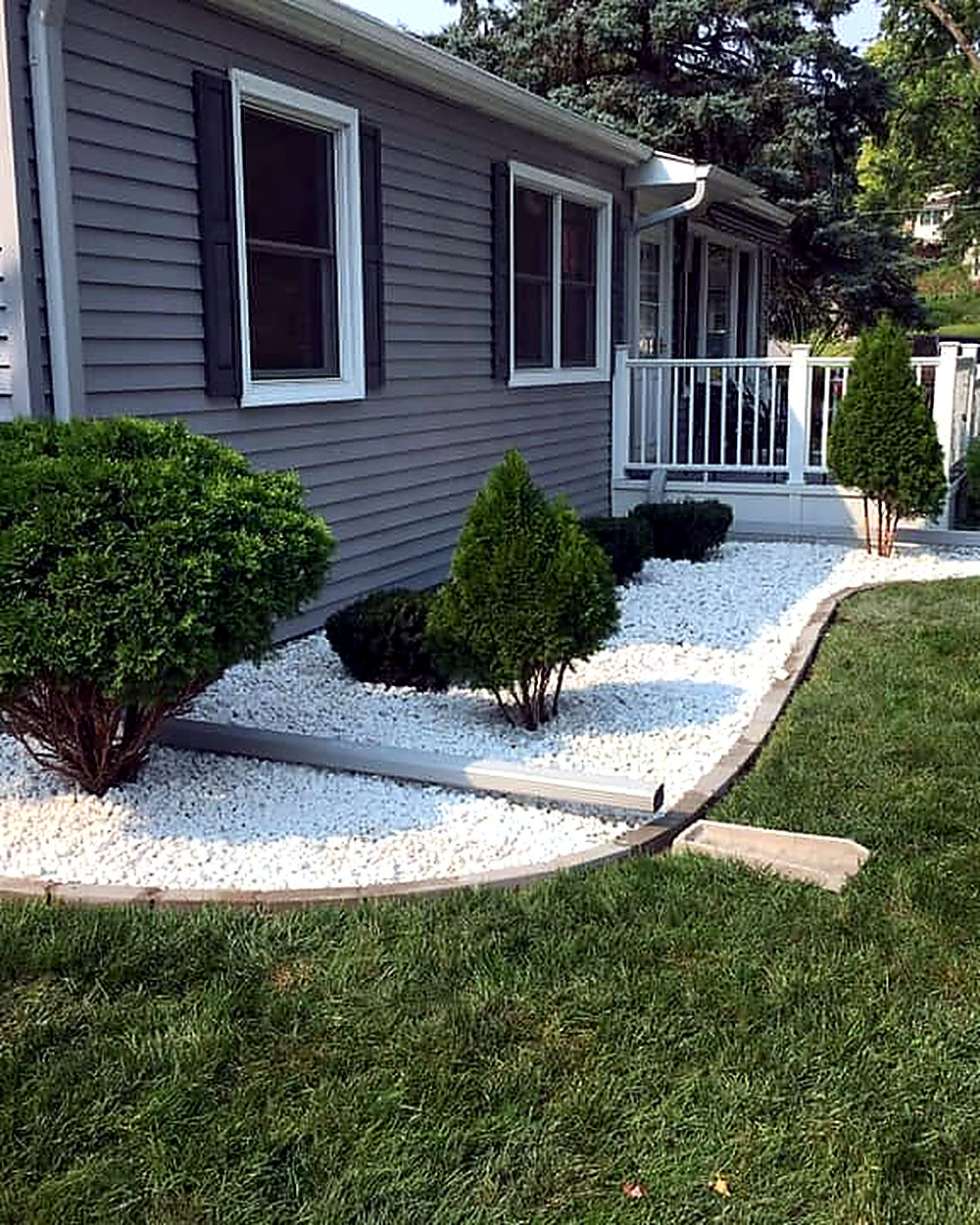 A curved paver-edged bed of white rock with clipped shrubs and arborvitae along the front of a house